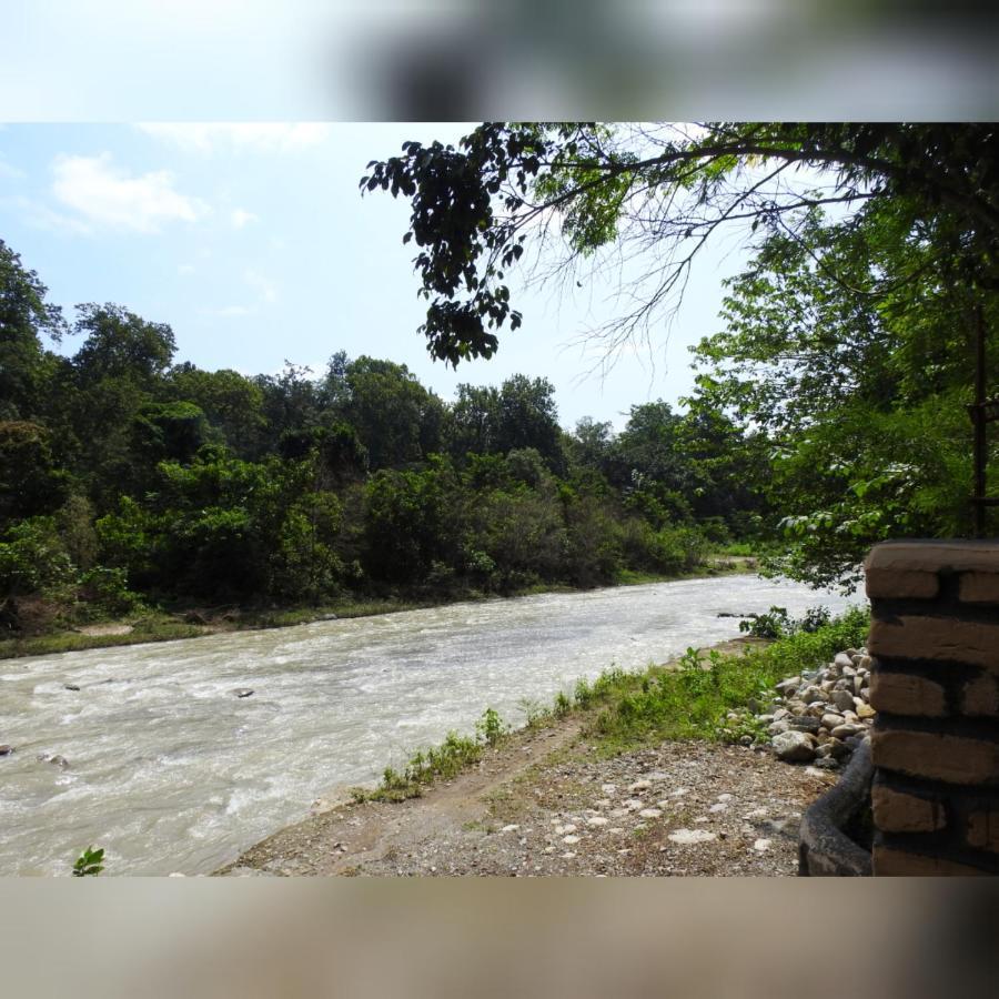 فندق Camp Hornbill Corbett رامناجار المظهر الخارجي الصورة